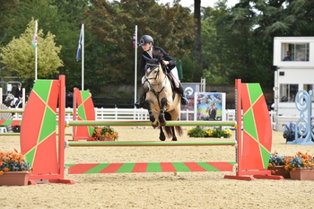 Surprise Twist in the Pony Bronze league 148cm & Under Championship